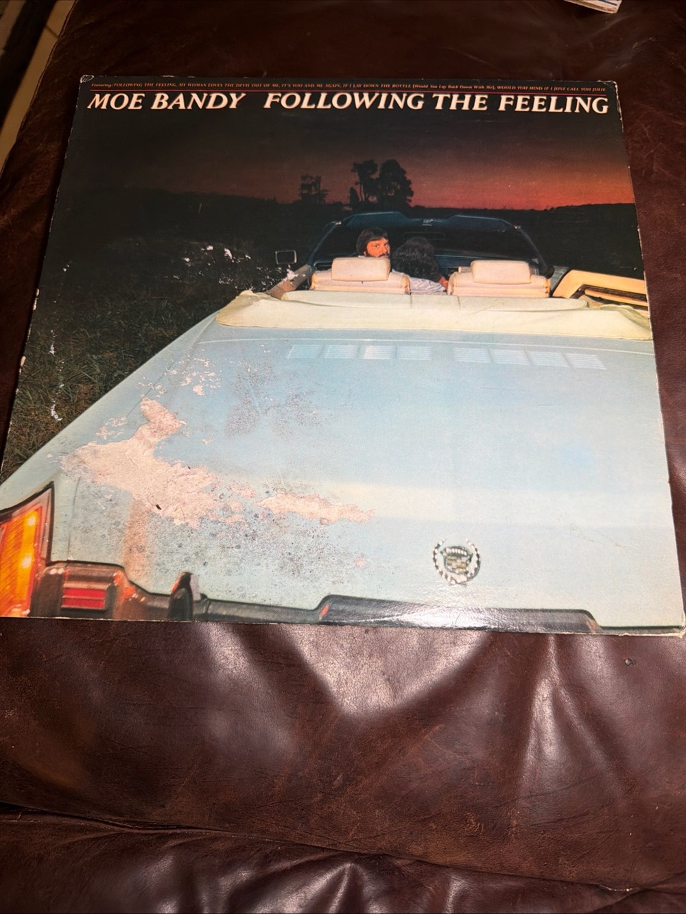 Moe Bandy "Following the Feeling" Blue Vinyl Wall Art